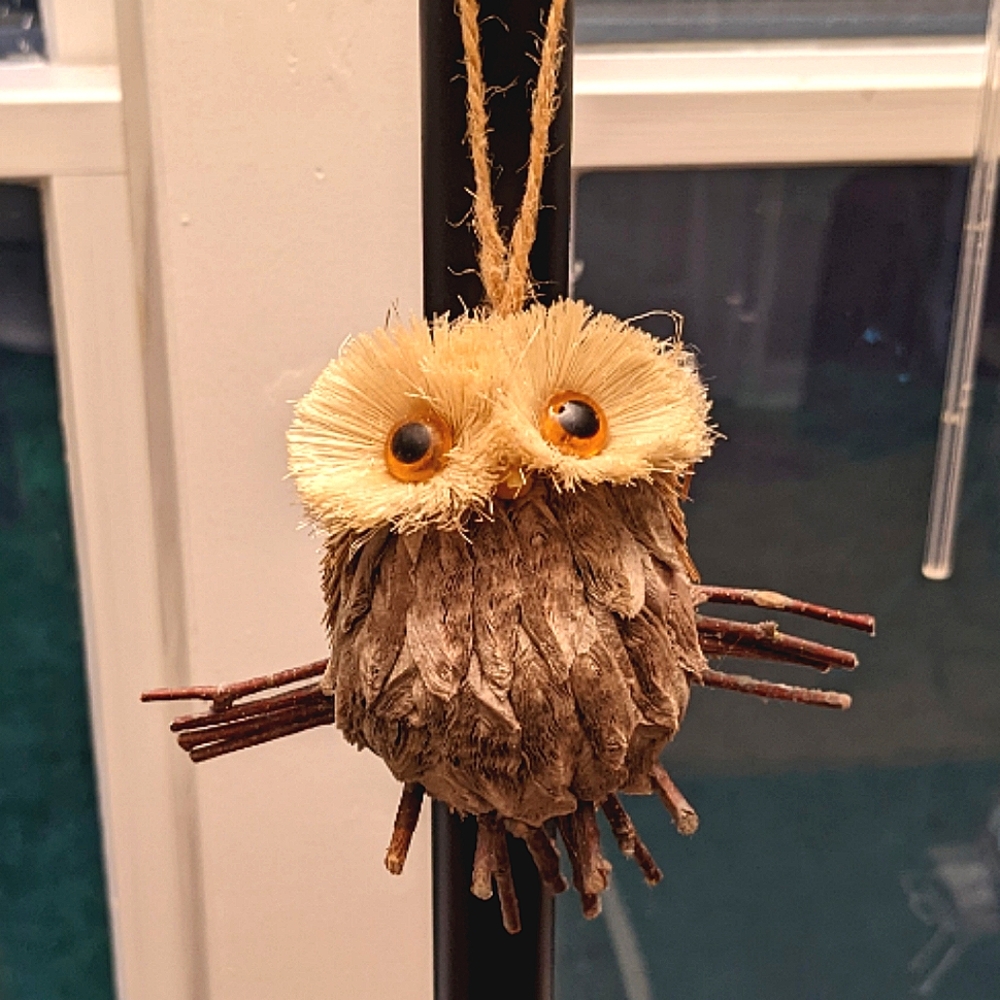 🦉Owl Christmas ornament💗